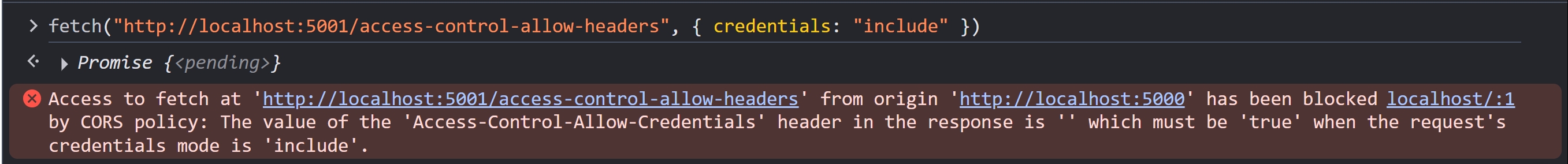 cors-error-credentials-include
