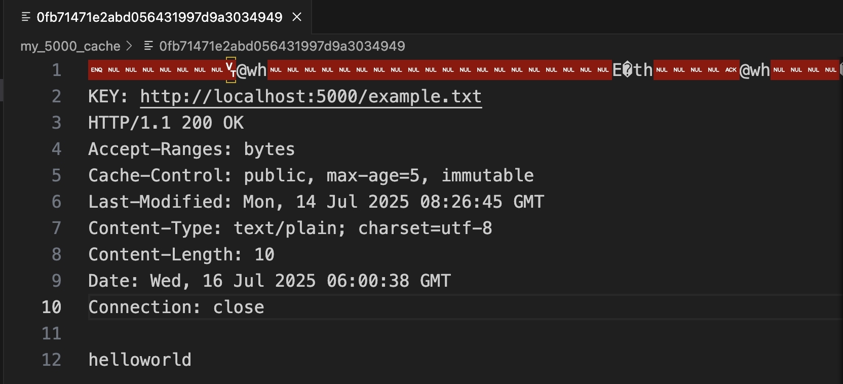 nginx-cache